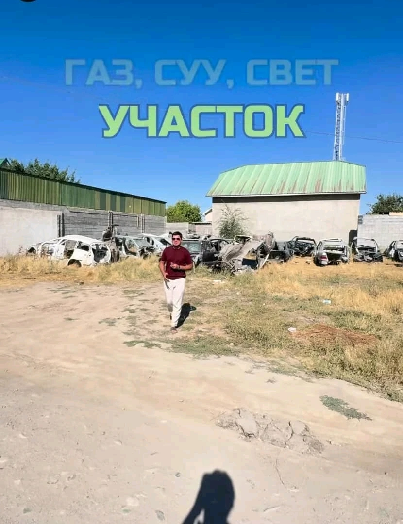Алтын ордо