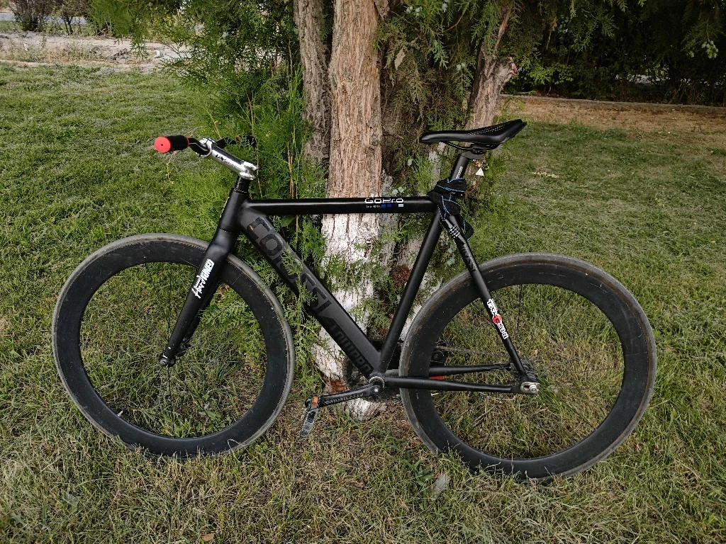 colossi low pro