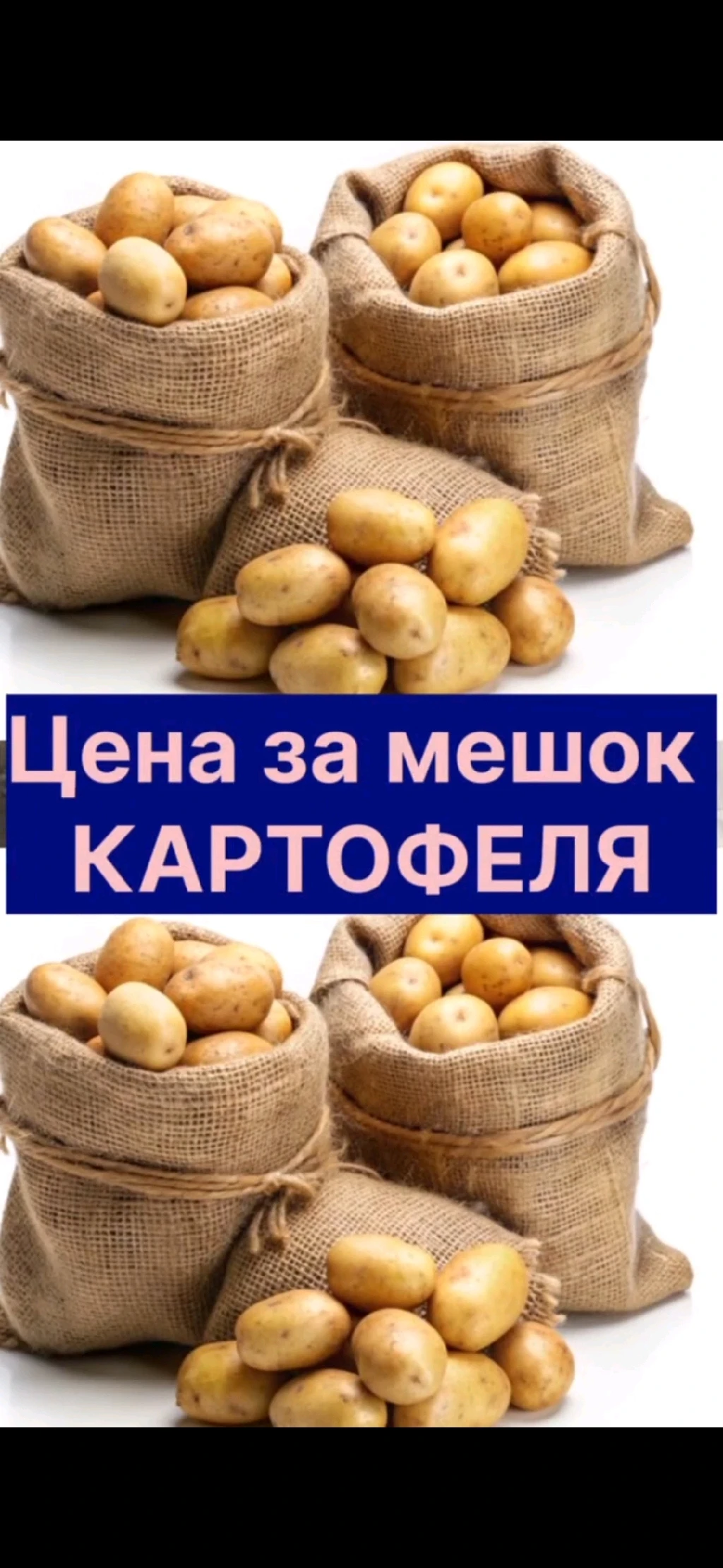 кортошка