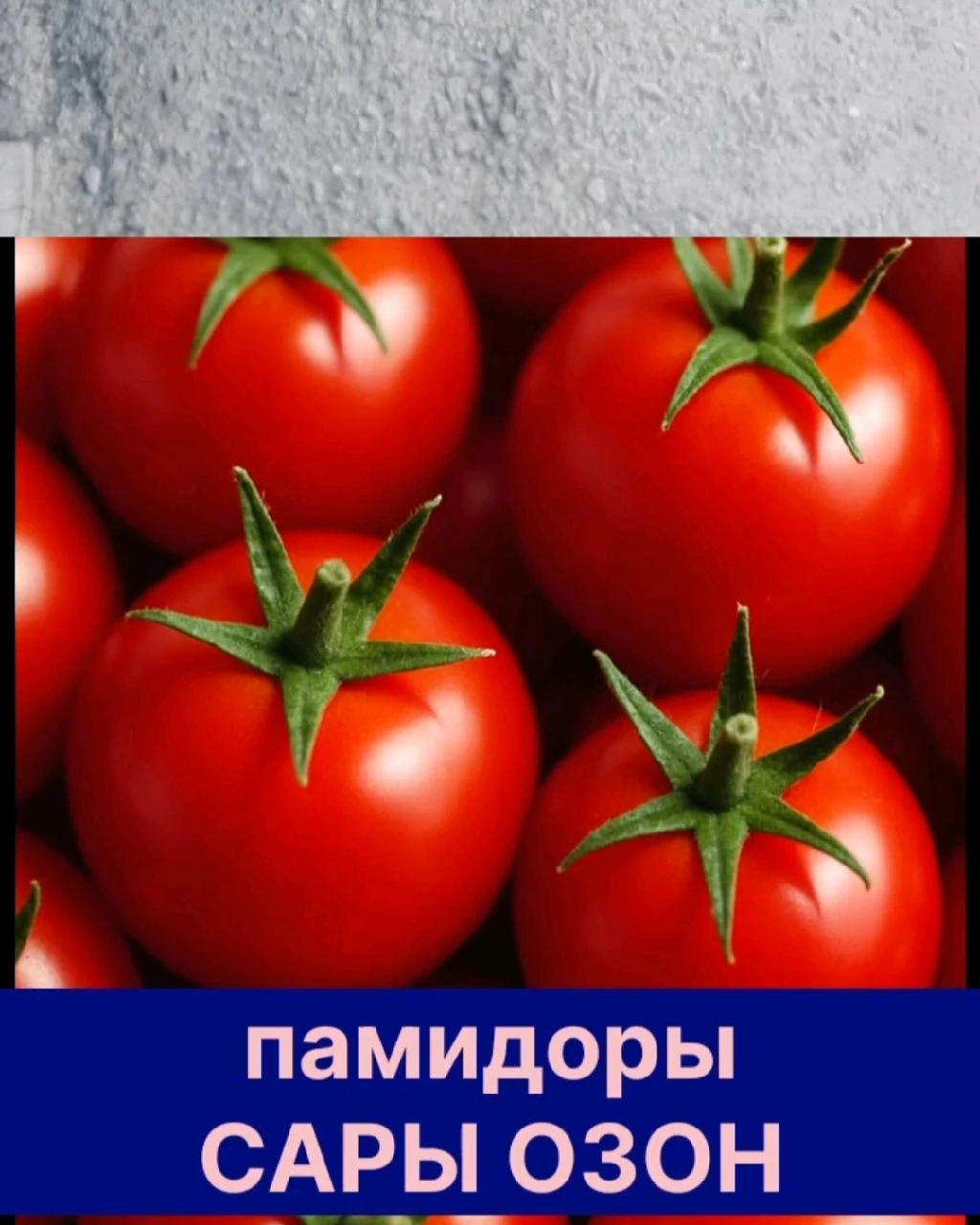 помидор 🍅