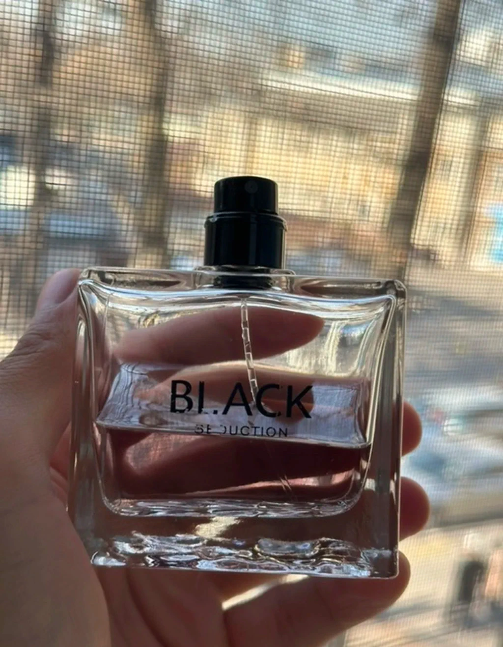 Antonio banderas black seduction