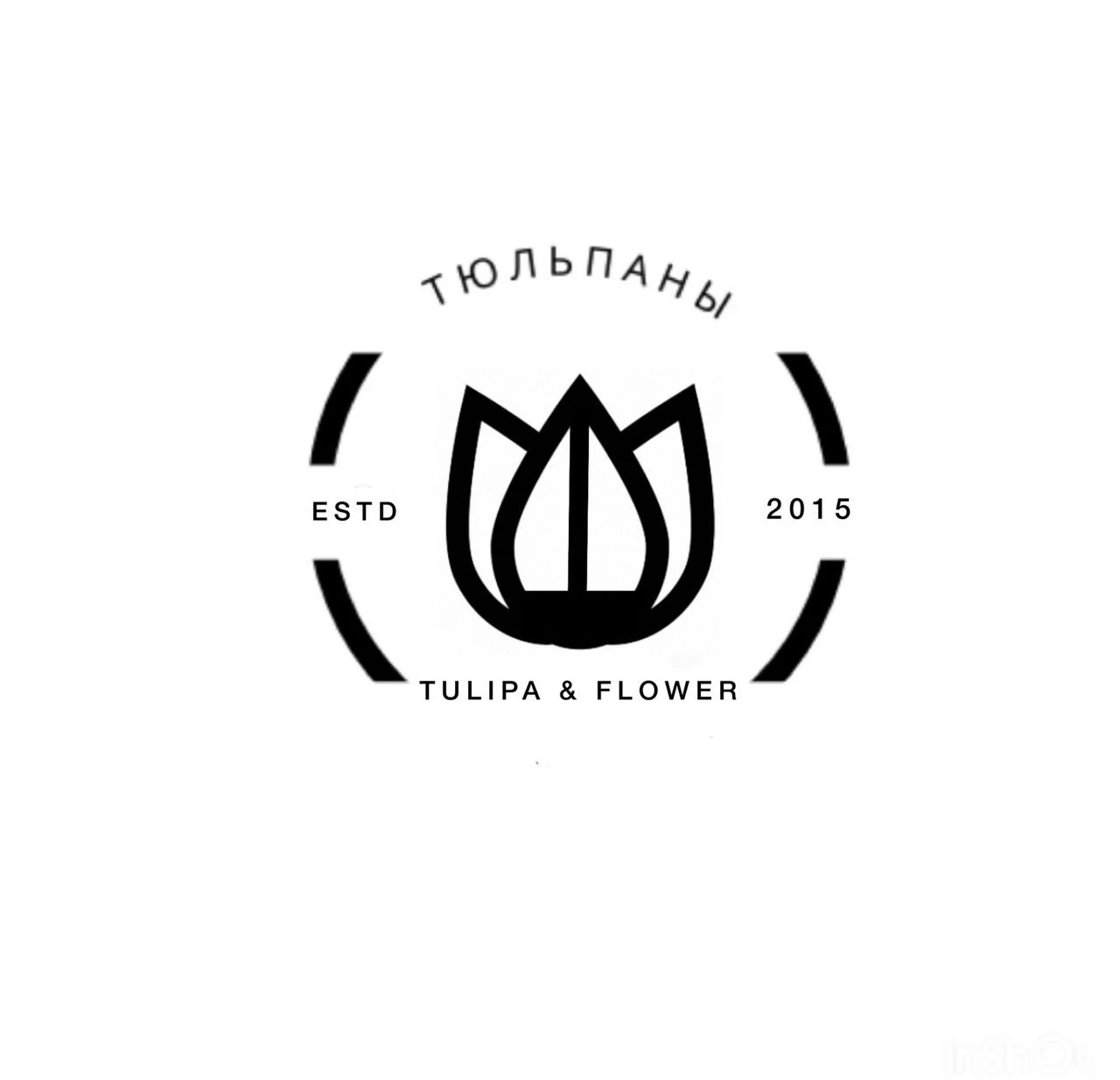 tulipa.kg