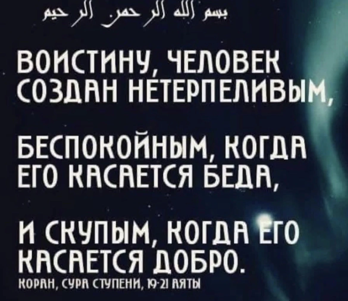 Vasib