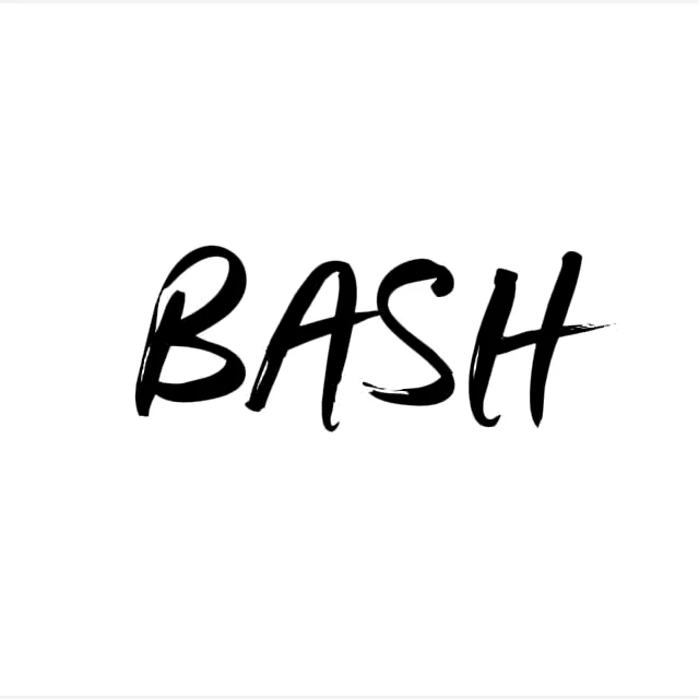 THEBASH.KG
